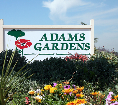 Adams Gardens